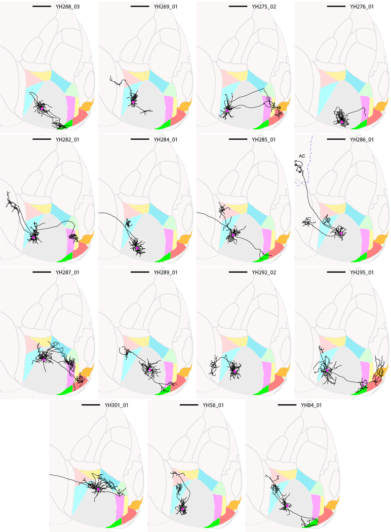 Extended Data Figure 4: