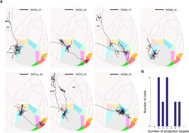 Extended Data Figure 5: