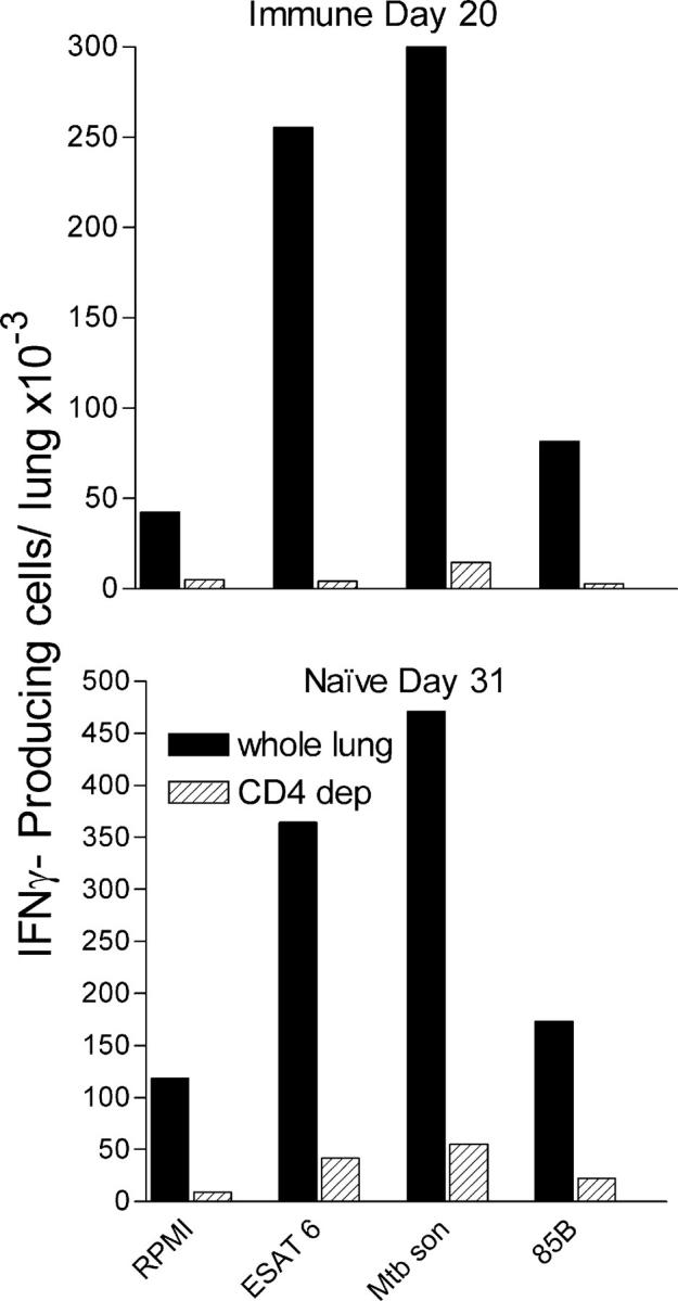 Figure 7.