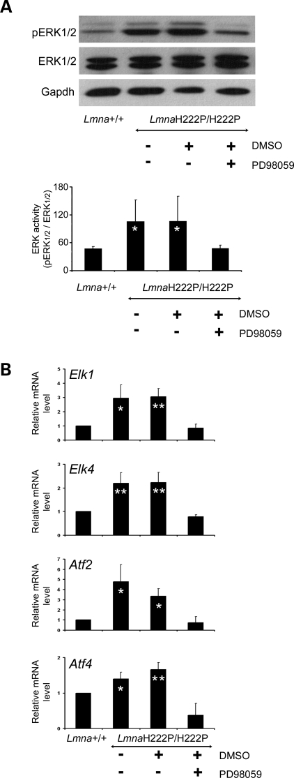 Figure 1.