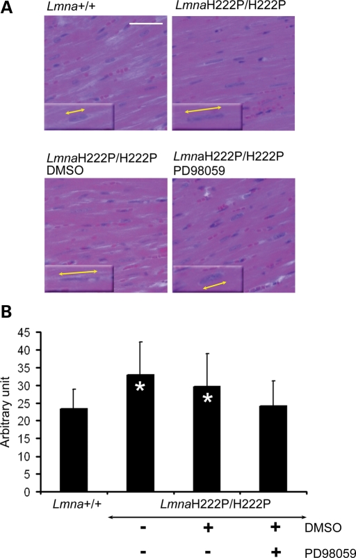 Figure 4.