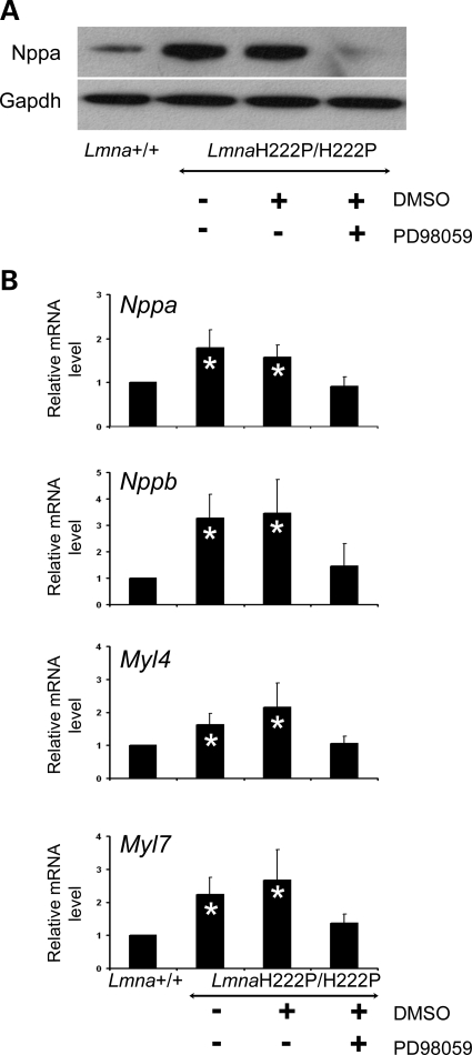 Figure 2.