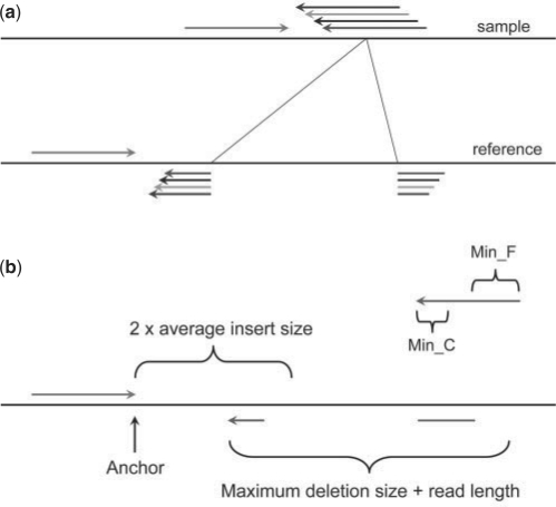 Fig. 1.