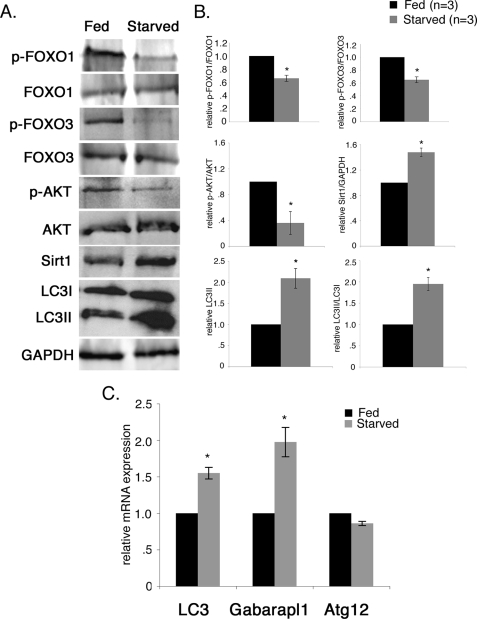 FIGURE 9.