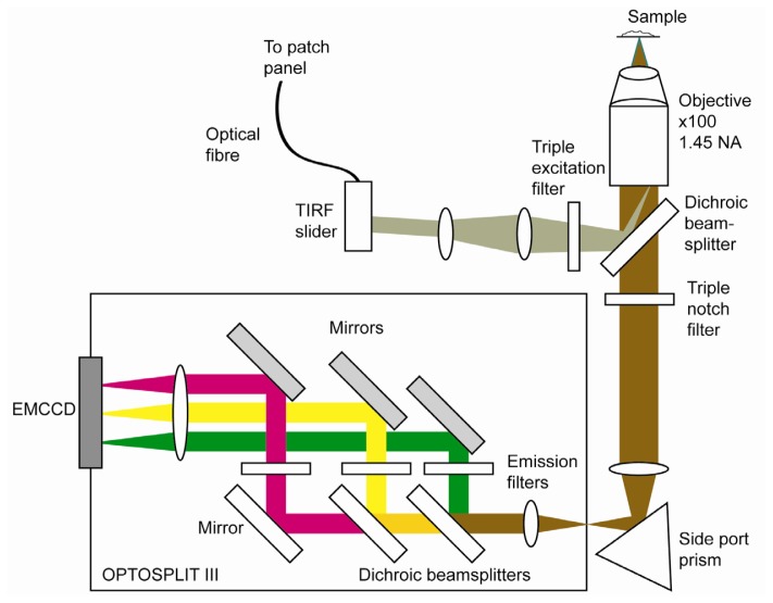 Figure 4