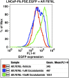 Figure 2—figure supplement 1.