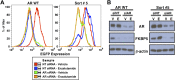 Figure 1—figure supplement 3.