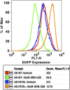 Figure 2—figure supplement 4.