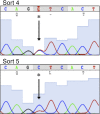 Figure 1—figure supplement 4.