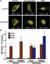 Figure 2—figure supplement 2.