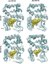 Figure 4—figure supplement 7.