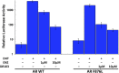 Figure 4—figure supplement 2.