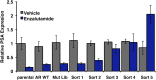 Figure 1—figure supplement 2.