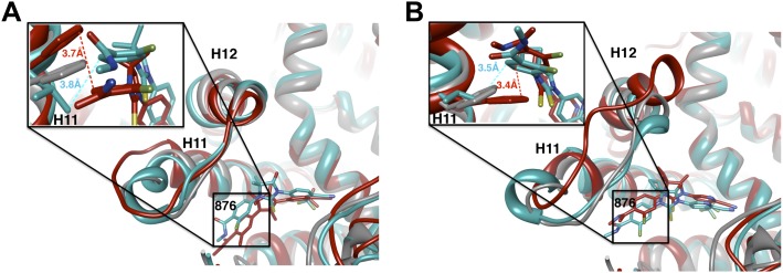 Figure 3—figure supplement 2.