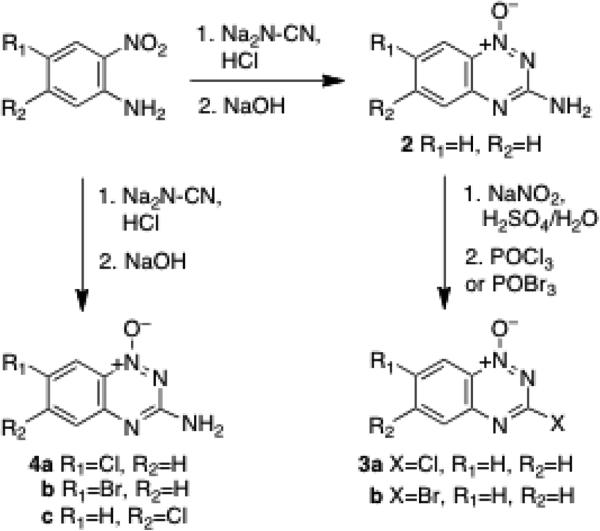 Scheme 1