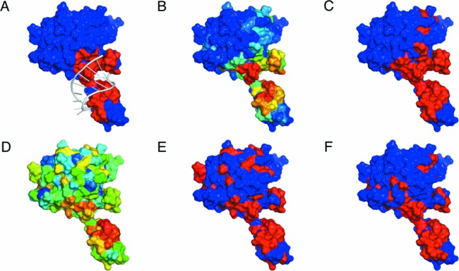 Figure 5.