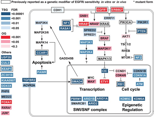 Figure 6.