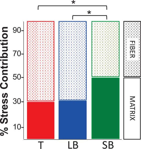 Figure 5: