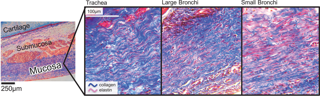 Figure 9: