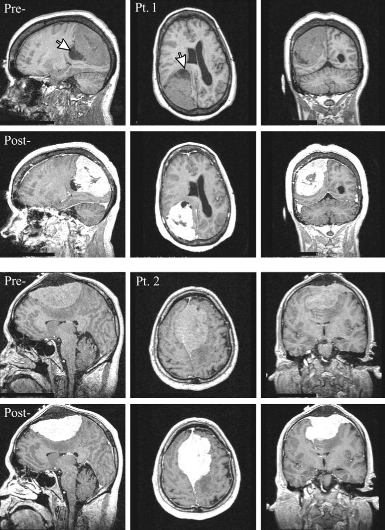 Fig 1.