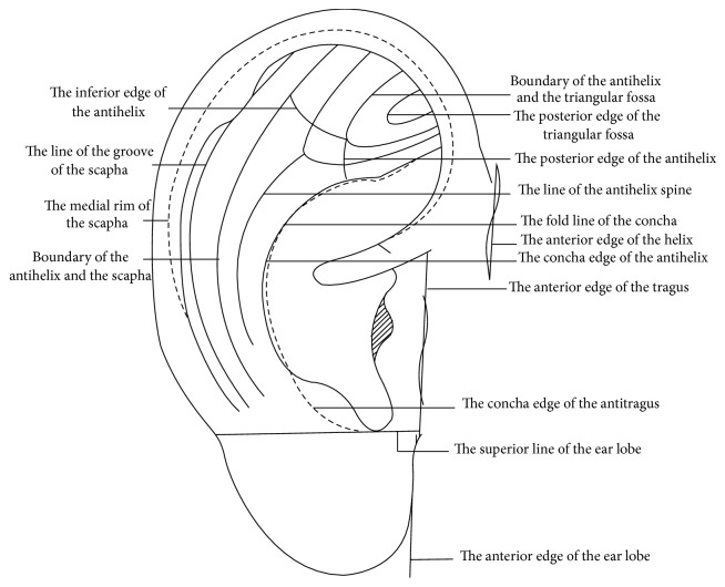 Figure 15