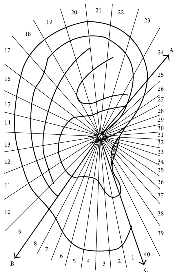 Figure 8