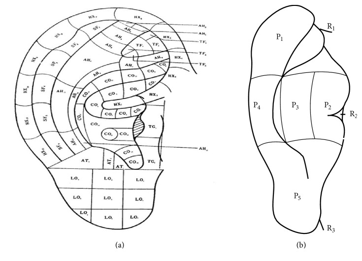 Figure 13