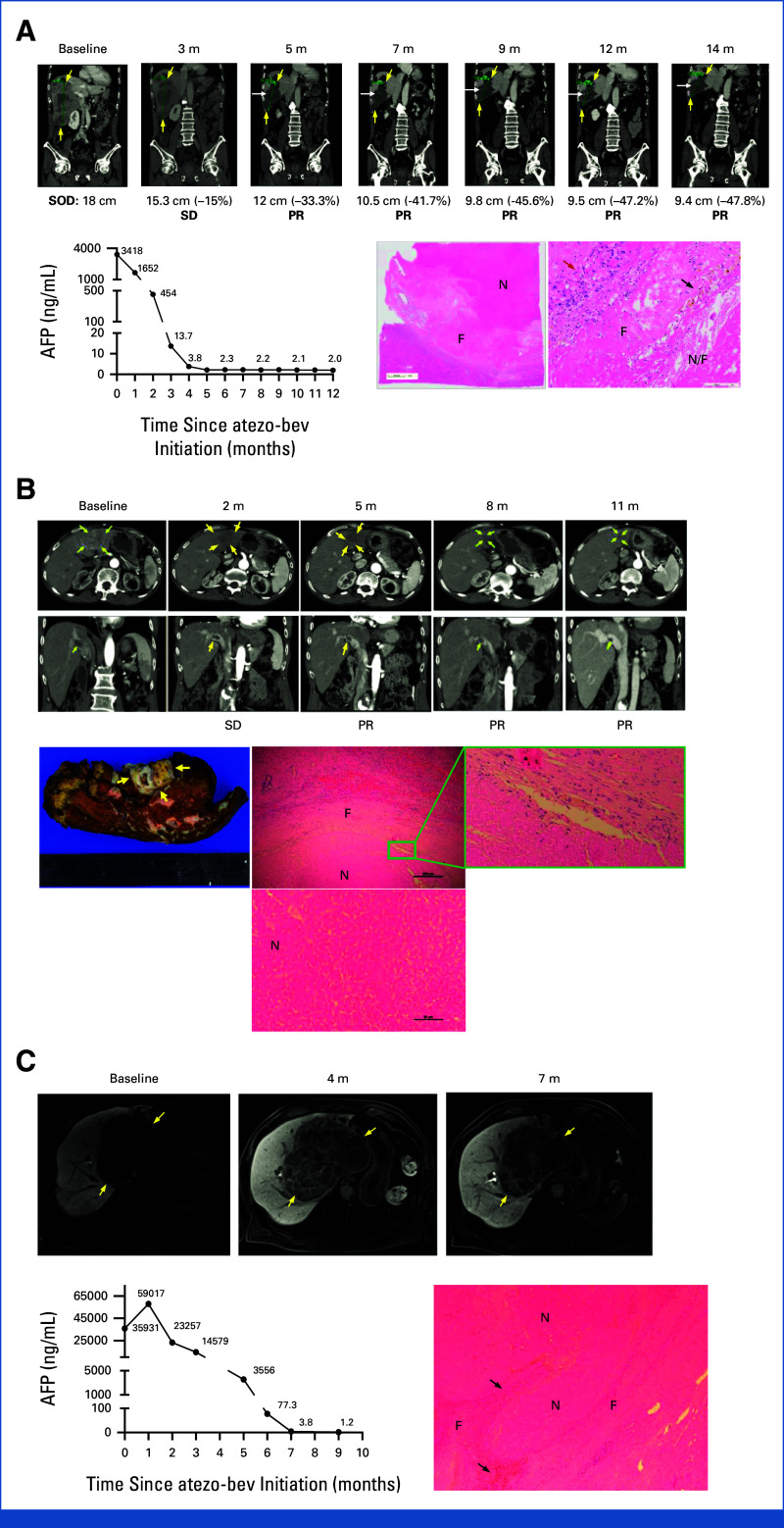 FIG 3.