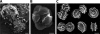 FIG. 4.