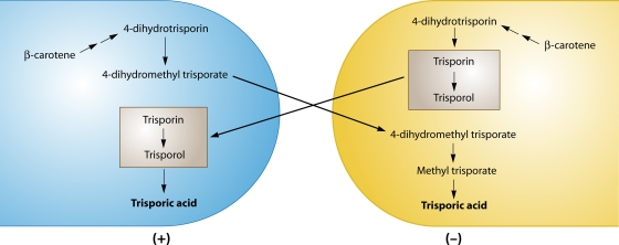 FIG. 10.