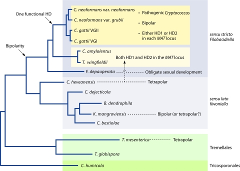 FIG. 9.