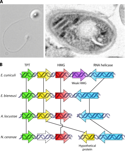 FIG. 14.