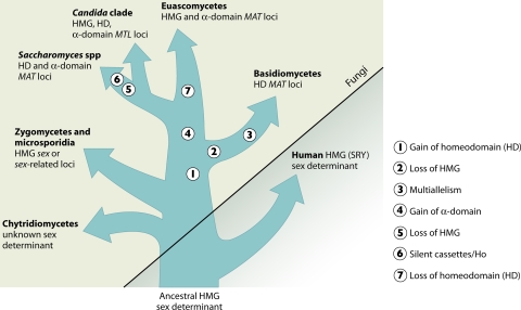 FIG. 19.