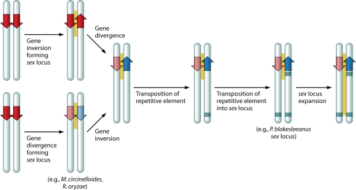 FIG. 13.