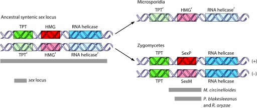 FIG. 15.