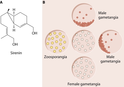 FIG. 17.