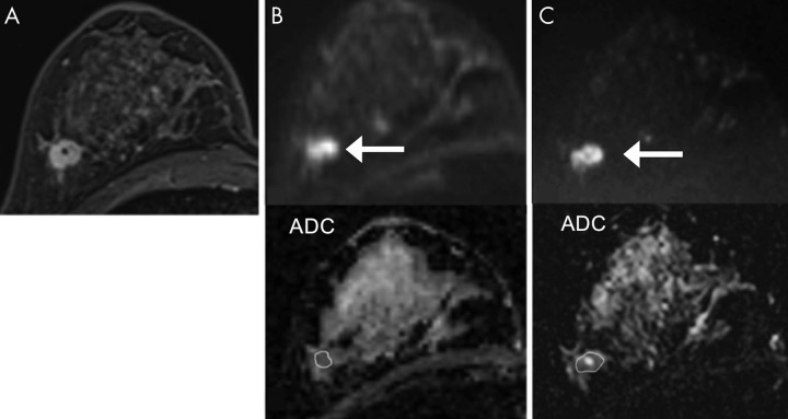 Figure 10: