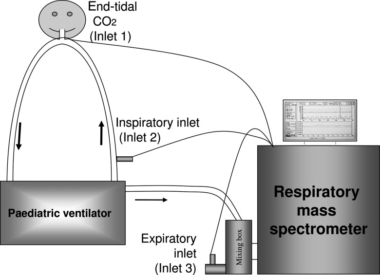 Figure 1: