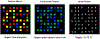 Fig 1:
