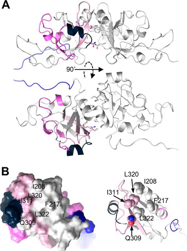 FIGURE 11.