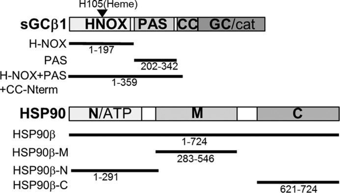 FIGURE 1.