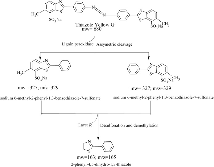 Fig. 6