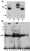 FIG. 7