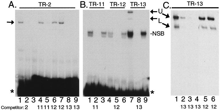 FIG. 6