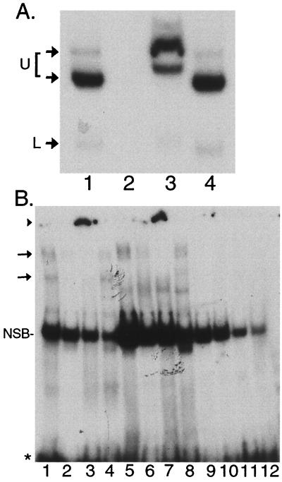 FIG. 7