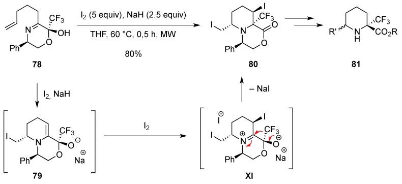 Scheme 25