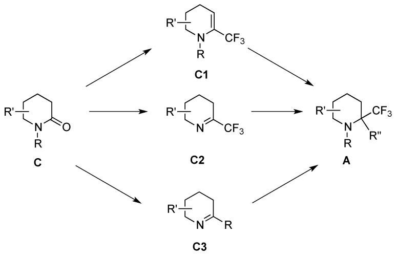 Scheme 5