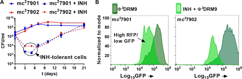 FIG 4 