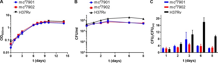 FIG 2 