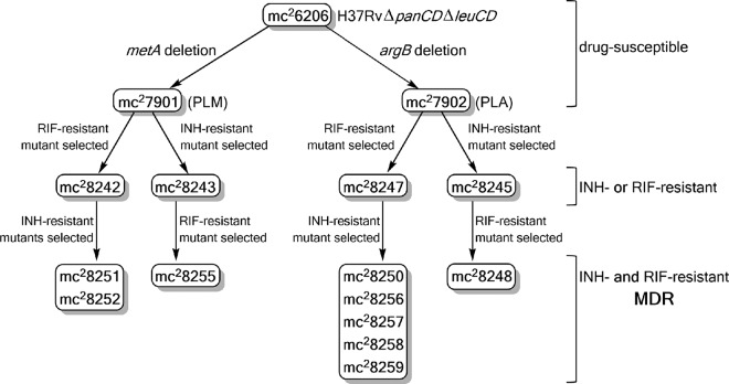 FIG 1 